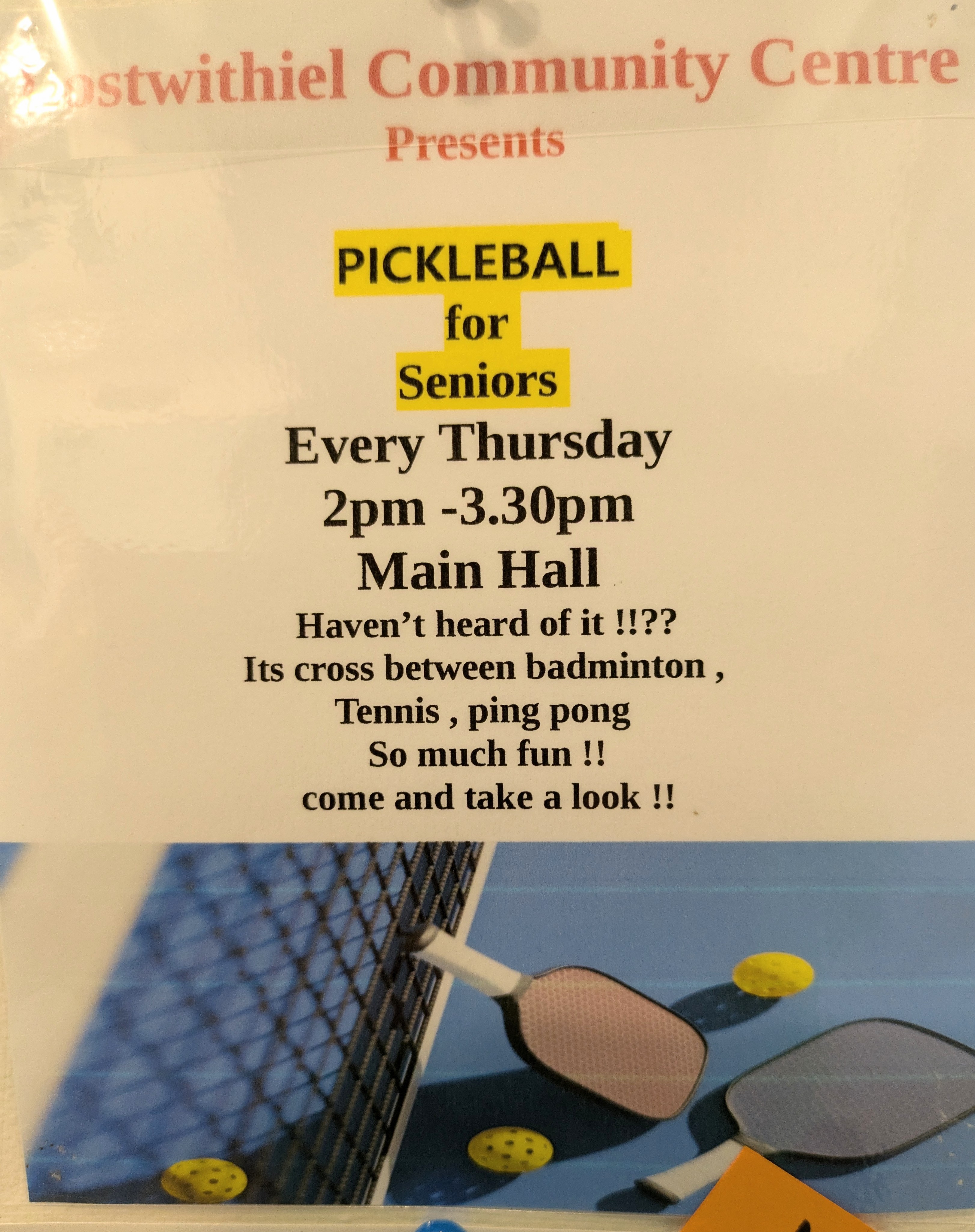 Pickleball for Seniors 