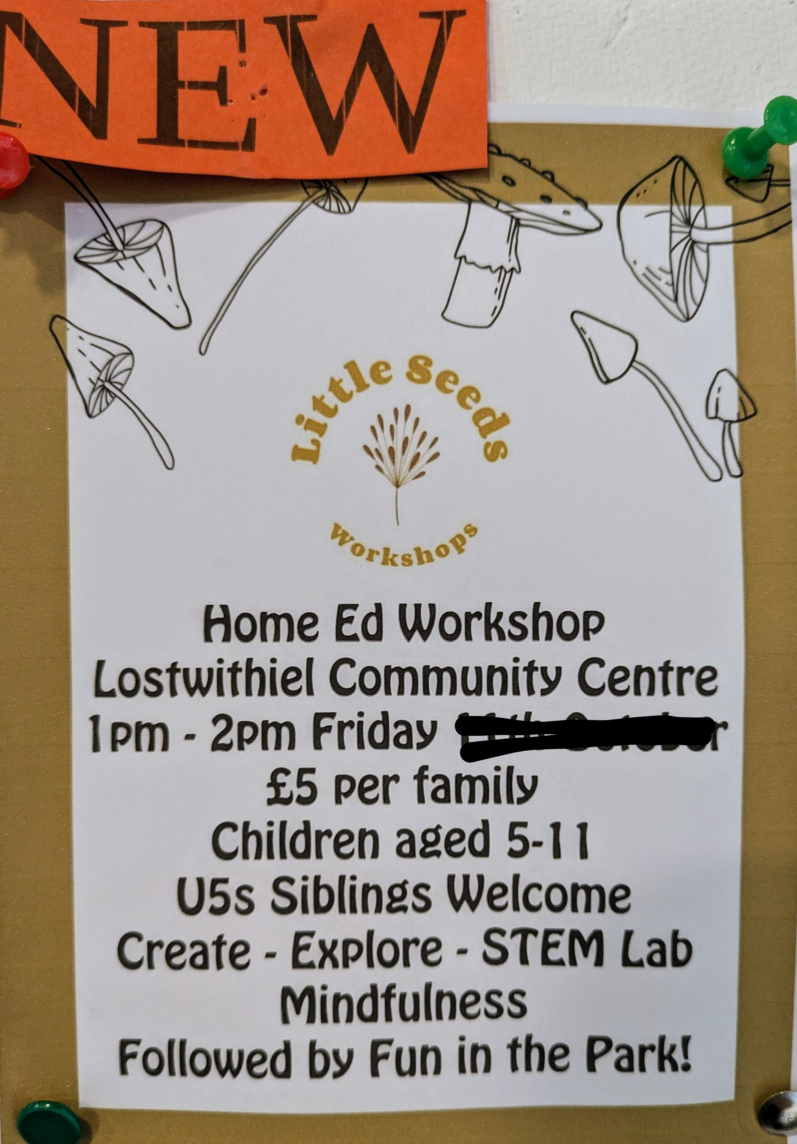 Little Seeds Workshops 