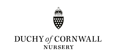 Duchy of Cornwall nursery